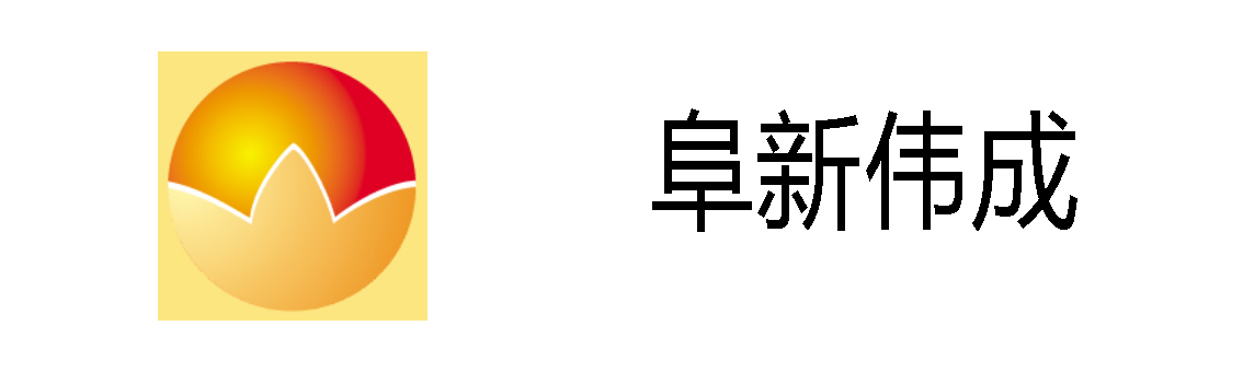 阜新伟成