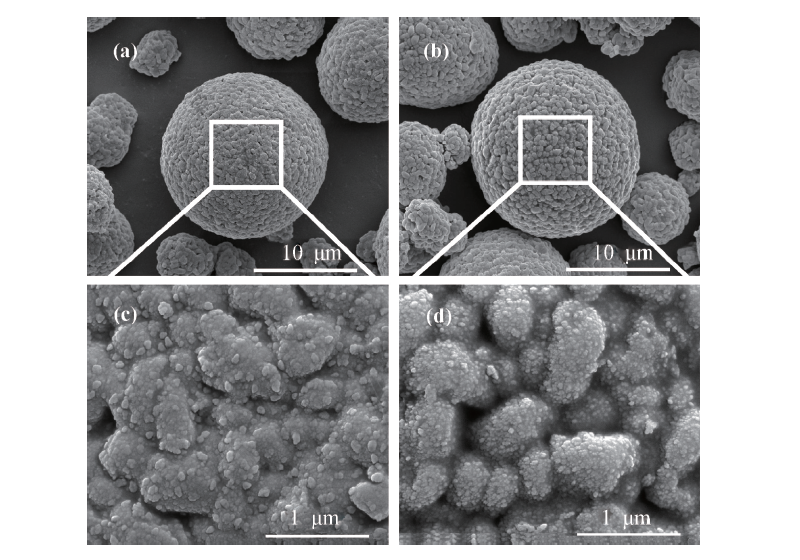 Al2O3 包覆优化LiNi0. 8Co0.1Mn0.1O2 正极材料性能研究
