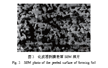 铝箔表面氧化膜剥离方法的研究