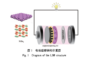 NiSe2/CC中间层助力高性能锂硫电池的研究