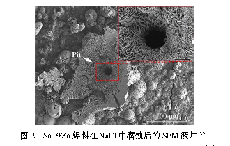 不同腐蚀介质中Sn 基无铅焊料耐蚀性研究进展