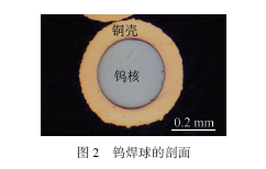 BGA封装用钨焊球焊点的热可靠性研究