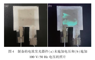 柔性ZnS∶Cu电致发光器件制备和性能研究