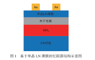 不同波形电压刺激下单晶LiNbO3薄膜忆阻器的电阻可塑性研究