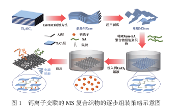 钙离子交联的MXene/海藻酸钠高性能屏蔽织物的制备