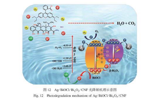 易回收型Ag/BiOCl/Bi2O3/CNF异质结光催化剂的制备及降解性能研究