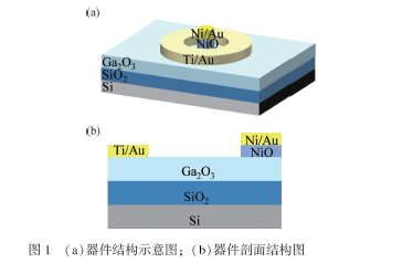 基于β-Ga2O3/NiO异质结日盲光电探测器性能研究