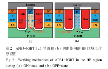 具有自偏置MOS空穴抽取通路和阻塞结的IGBT